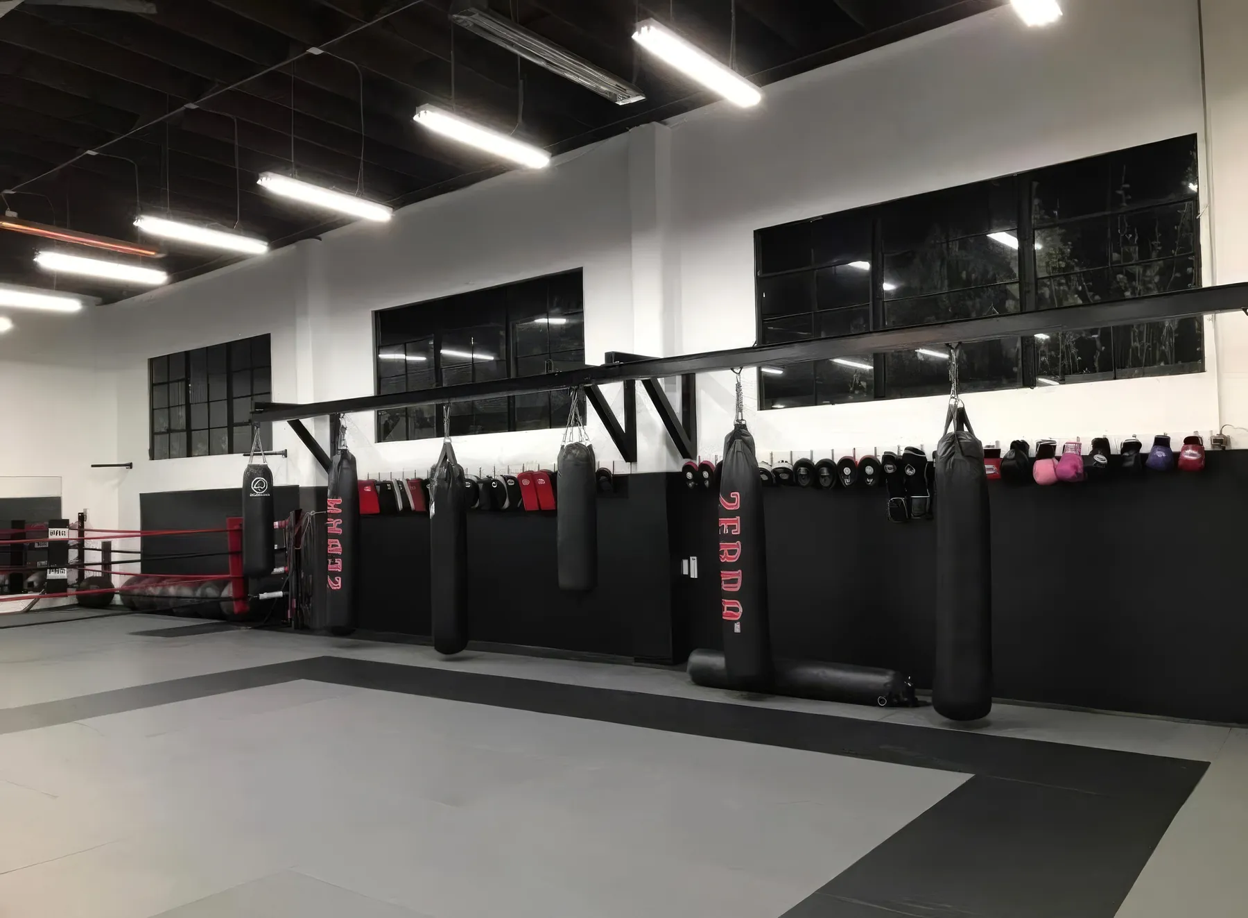 Inside the 5,000 sq ft AB Mixed Martial Arts academy in San Francisco: mats, heavy bags and boxing ring
